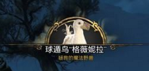 霍格沃茨之遗丰羽之鸟任务如何完成-丰羽之鸟任务完成攻略