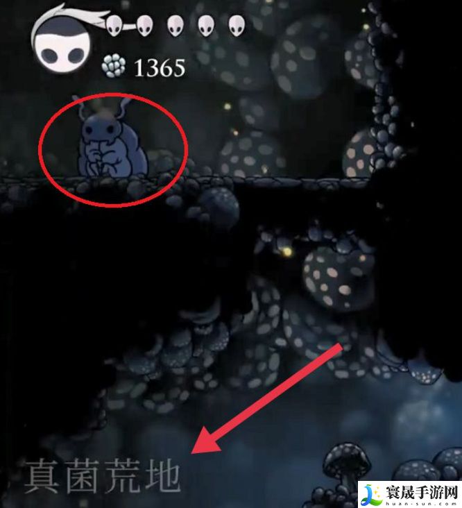 《空洞骑士》迷妹位置一览
