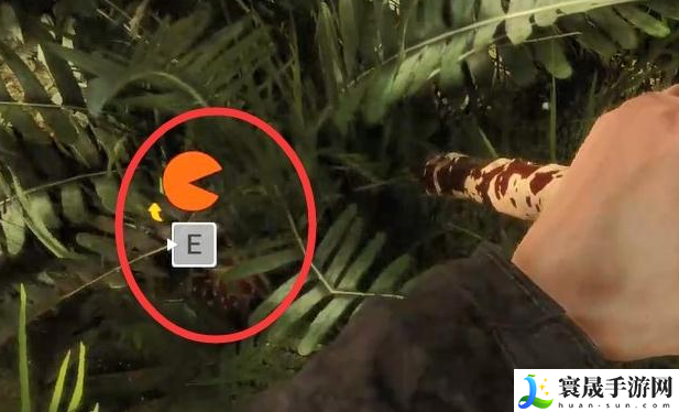 森林之子如何辨别果子有没有毒-辨别果子有没有毒方法分享