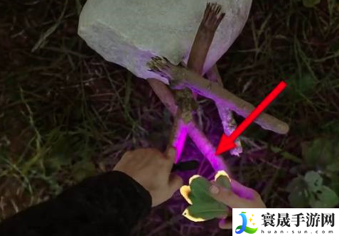 森林之子火堆怎么建造-火堆建造及生火攻略