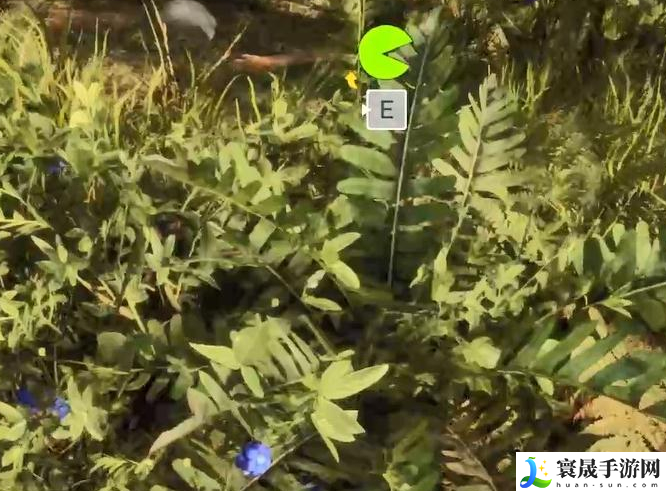 森林之子如何辨别果子有没有毒-辨别果子有没有毒方法分享