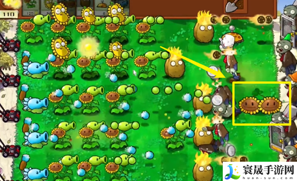 《植物大战僵尸杂交版》游戏玩法介绍