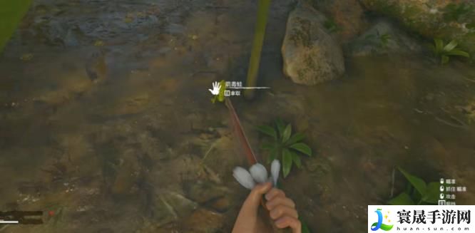 《绿色地狱》箭毒蛙解毒方法