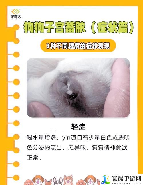 狗狗舔人**会得HPV吗