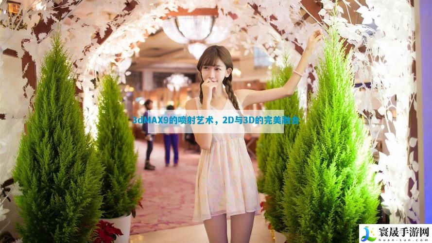 3dmax9喷射2d3d视频
