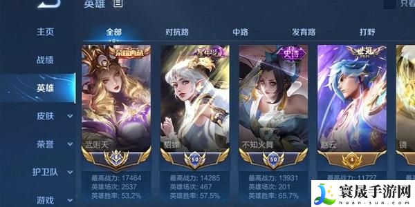 王者荣耀国标多少钱一个