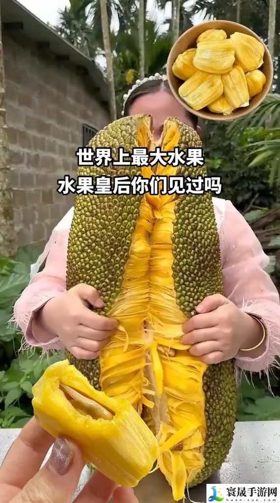 蜜瓜啦啦啦菠萝蜜啦啦啦歌曲