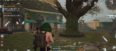 黎明觉醒金盏花庭院寻人启事在哪