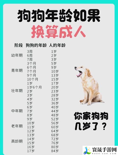 日本mindup狗与人类狗的区别