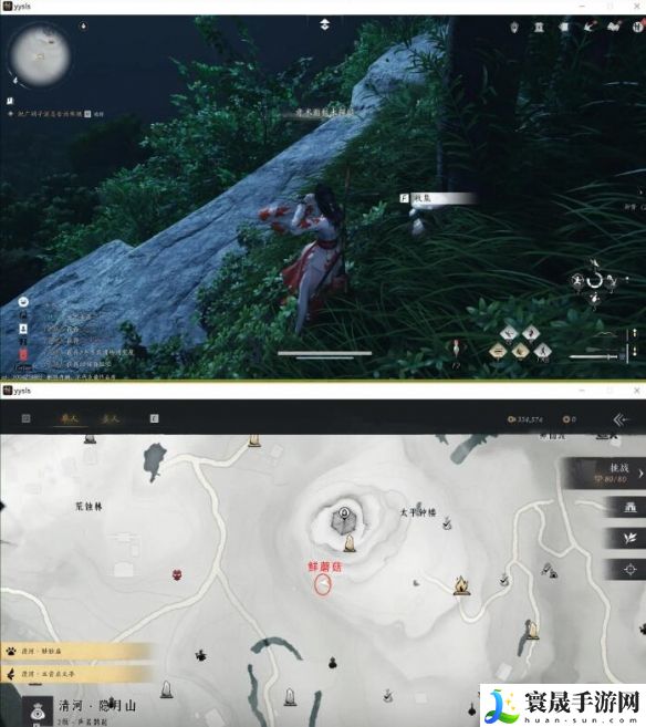 燕云十六声美味惊喜材料任务攻略：宠物进化与技能提升详解